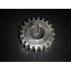 Camwheat Gear